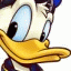 Kingdom Hearts avatar 13