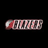 National Basketball Leage (NBA) avatar 25
