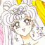 Sailor Moon avatar 301