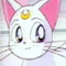 Sailor Moon avatar 354