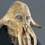 Star Wars avatar 84