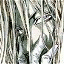 Angel Sanctuary avatar 3