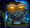 StarCraft avatar 31