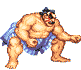 Street Fighter avatar 5