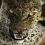 Tekken avatar 30